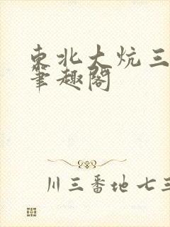 东北大炕三部曲笔趣阁