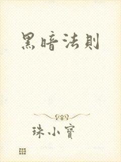 黑暗法则封面