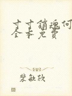 寸寸销魂何生祥全本免费