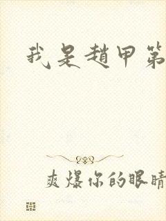 我是赵甲第小说