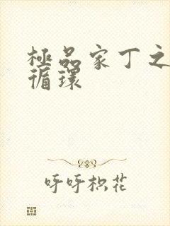 极品家丁之因果循环封面