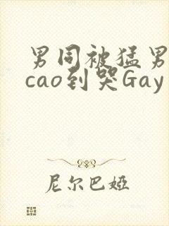 男同被猛男房东cao到哭Gay