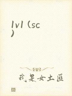 1v1 (sc)封面
