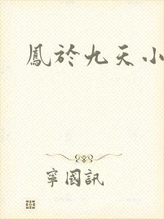 凤于九天小说