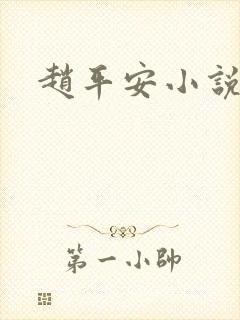 赵平安小说主角