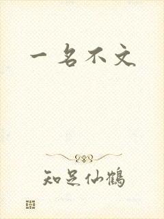 一名不文封面