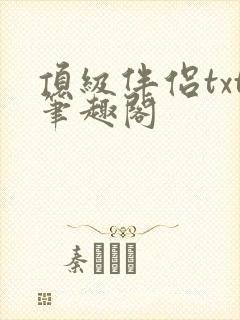 顶级伴侣txt笔趣阁