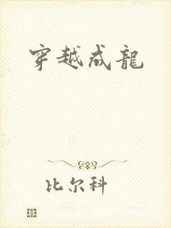 穿越成龙封面