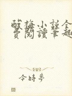 酸梅小说全文免费阅读笔趣阁