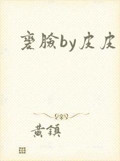 变脸by皮皮虾封面