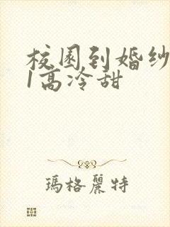 校园到婚纱1V1高冷甜封面