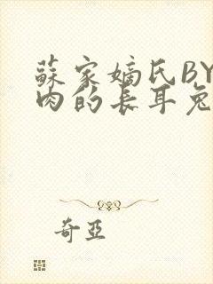 苏家嫡氏BY吃肉的长耳兔