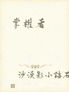 掌权者封面