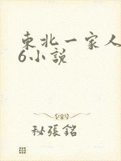 东北一家人1一6小说