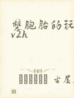 双胞胎的玩具1v2h