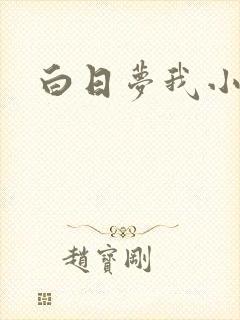 白日梦我小说