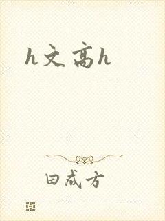 h文高h