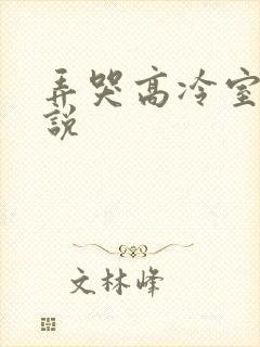 弄哭高冷室友小说