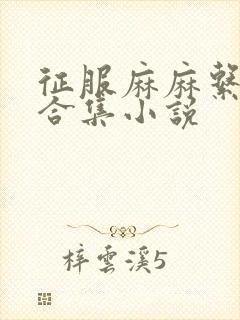 征服麻麻系列大合集小说