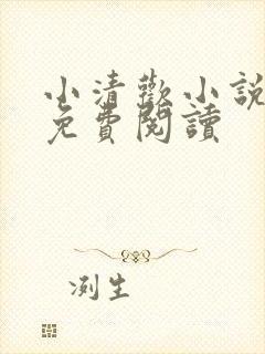 小清欢小说全文免费阅读封面