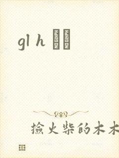 gl h С˵封面