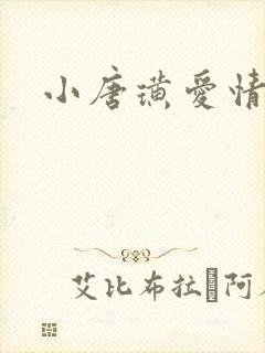 小唐璜爱情历史