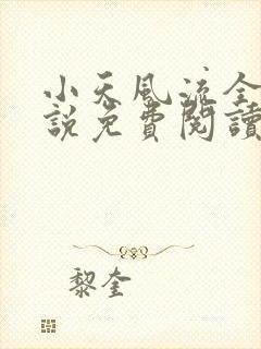 小天风流全集小说免费阅读
