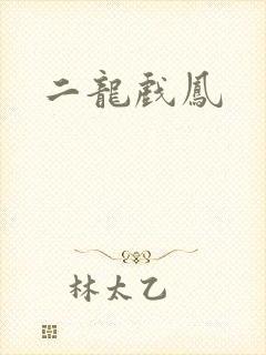 二龙戏凤封面