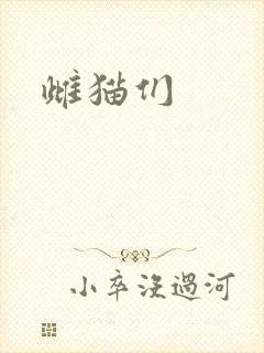 雌猫们
