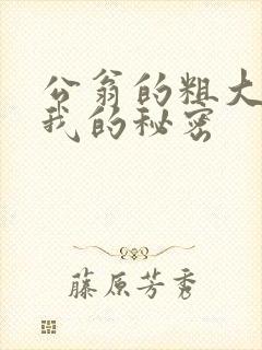 公翁的粗大放进我的秘密