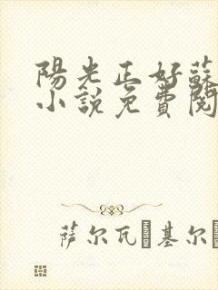 阳光正好苏玥玥小说免费阅读无弹窗