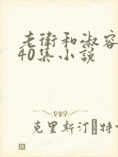 老卫和淑容1-40集小说封面