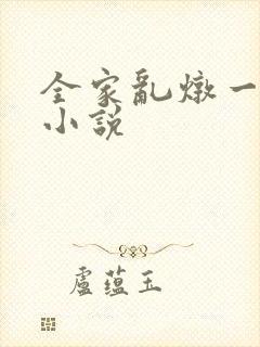 全家乱炖一锅烩小说封面