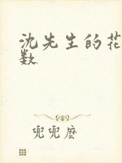 沈先生的花式调数