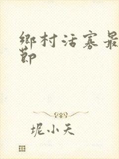 乡村活寡最新章节