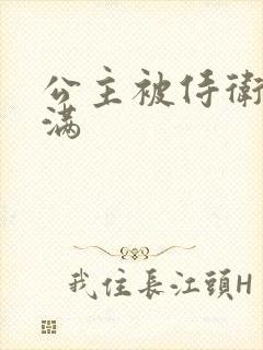 公主被侍卫填的满封面