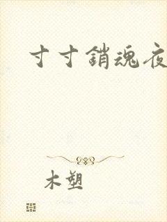 寸寸销魂夜春光