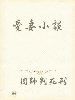 爱妻小说