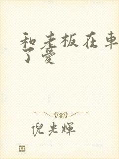 和老板在车里做了爱