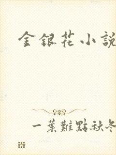 金银花小说乐可