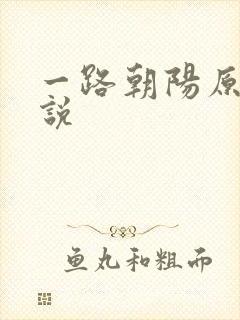 一路朝阳原著小说