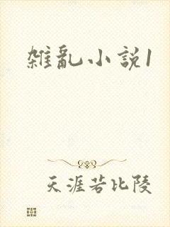 杂乱小说1