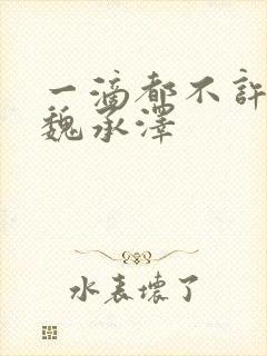 一滴都不许漏 魏承泽封面