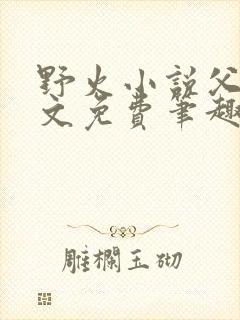 野火小说父女全文免费笔趣阁封面