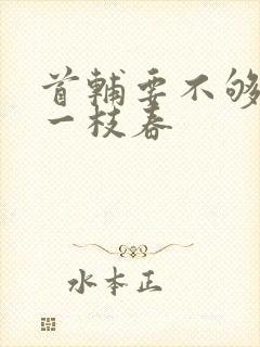 首辅要不够po一枝春