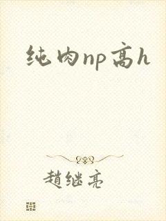 纯肉np高h