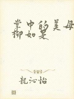 掌中的美母版主柳如是