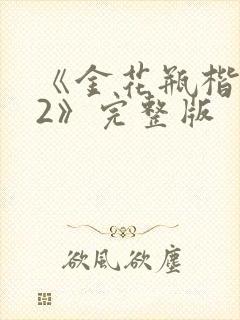《金花瓶楷梅花2》完整版封面