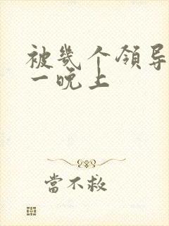 被几个领导玩弄一晚上