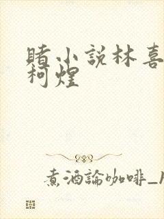 赌小说林喜朝和柯煜